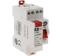 Interrupteur différentiel à vis 40A type A NF - Thomson