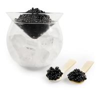 ThougrLyh Ensemble de couverts à caviar en verre avec 2 cuillères à caviar en coquille, avec support à glace pour crevettes, crème glacée, martinis et cocktails, passe au lave-vaisselle