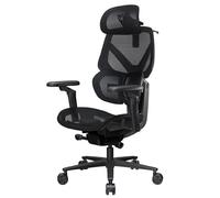 ThunderX3 Fauteuil ergonomique Flex Pro Mesh Noir