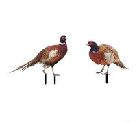 Tidevib Ornements de jardin en forme de poule, piquets de pelouse en acrylique pour pots de fleurs en plein air, art de jardin double face (AB)