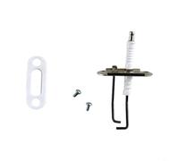 Tidgel Kit de capteur de flamme à double électrode d'allumage pour Vaillant VKK 186-4865 R1, assemblage métallique haute température avec joint et vis