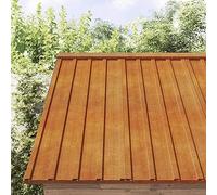 Tidyard Panneaux de toiture 12x rouillé 80x44 cm Acier corten Plaques de Protection de Toiture en Métal, Couverture de Toit pour Garage, Remise, Bâtiment de Jardin, Maisons Mobile