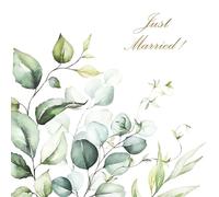 Tiflair Serviettes Feuilles d'Eucalyptus 3 plis