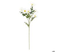Atmosphera - Tige Artificielle de Marguerite h60cm Multicolore