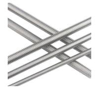Tige entièrement filetée Tige métrique entièrement filetée à gauche, en acier inoxydable 304, M4-M24, 250mm(M16x2.0mm)