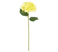 tige fleur hortensia artificiel 83cm vert clair - générique 130813h Vert G