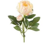 tige fleur pivoine bouton artificiel 66cm crème - générique ftg2108cr/ro Gris G
