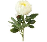 tige fleur pivoine bouton artificiel 66cm ivoire - générique ftg2108iv Gris G