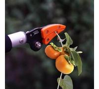 Tige pour coupe-bordures - Coupe-branches Bypass de jardin avec | Outil d'extension pour sécateur | Équipement pour l'élagage d'arbres et d'arbustes pour l'embellissement
