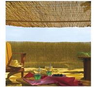 INTERMAS GARDENING Brise Vue H1xL5m en tiges de roseaux naturels Reedcane