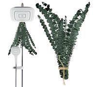 Tiges d'eucalyptus, grand bouquet naturel séché pour la douche | paquets d'eucalyptus séchés pour salle de bain, maison, salon, maison, spa, salon, appartement
