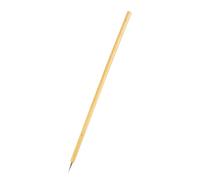 TINEASUR Pinceau de Calligraphie Chinoise Fonction Brosse de Peinture Beige Stylo à Dessin Simple et Généreux Couleur Aléatoire pour Aquarelle et Peinture de Petite