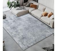Tinyboy-hbq Tapis Salon Moderne Gris 250x200cm Tapis Lavable pour Chambre | Intérieur & Extérieur | Compatible chauffage au sol | Adapté à l'aspirateur laveur | Utilisable toute l'année | Toutes pièces