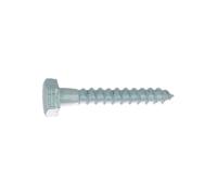 Tirefond DIN 571 Ac Zn Bl 10x50 boite de 100 Viswood