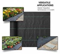 Tissu anti-mauvaises herbes, protection contre les mauvaises herbes, film de paillage en tissu - 0,9 x 76,2 m - 170 g/m² en polypropylène (PP) - Perméable à l'eau - Résistant à la déchirure - Noir