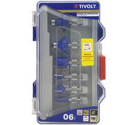 Tivoly Coffret 6 fraises de défonceuse XT606470006 formes assorties queue 6 mm