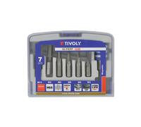 TIVOLY Ensemble tarauds 7 pièces HSS M3-M10 - Porte-embout 6,35 mm