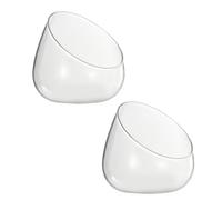 Toddmomy Pot Décoratif en Verre pour Plantes Succulentes 2pcs pour Décoration Maison et Hôtel Surface Lisse Design Multi-Usage et Micro Paysage Écologique