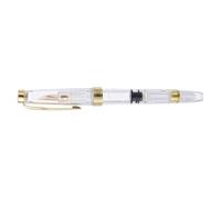 Toddmomy Stylo-plume à Piston Extra Fin 0,38mm Transparent en Acier | Remplissage par Compte-gouttes, Confort Ergonomique, Écriture et Dessin, pour Notes, Journaling, École