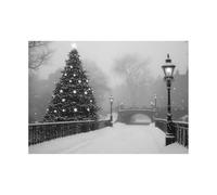 TODOAA Hiver Tableau Paysage Paysage d’hiver noir et blanc Grand Format Impression Sur Toile -Decoration Murale Salon Moderne - Image sur Toile xxl Poster esthétique(Blanc 19)-50x70cm Sans cadre