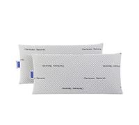 Todocama Lot de 2 oreillers à mémoire de Forme Carbone Naturel, composé d'un Noyau 100% viscoélastique avec des Particules de Carbone Actif Qui réduisent Les Mauvaises odeurs et l'humidité