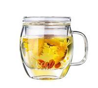 TOFOAN Tasse à Thé en Verre avec Infuseur et Couvercle, 500 ml Grande Tisanière en Verre Borosilicate, Mug à Thé avec Filtre pour Thé en Vrac, Infusion, Tisane, Café