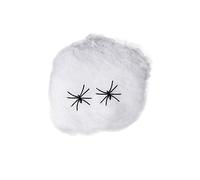 Toile d'Araignée de 40 g Blanche