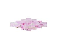 Toile de décoration murale, tableau T375 XL en 7 parties 245x87cm fleurs