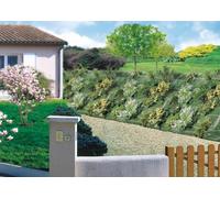 Toile de paillage 1.25 x 20 AGROSOL