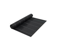 Toile de paillage Noir 2x5 m PP