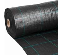 Toile de Paillage Professionnelle 2,10x100m, Feutre Géotextile 100g/m², Anti Mauvaise Herbe