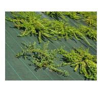 Toile de paillage - Vert - 130gr/m² Vert 1.65m x 100m