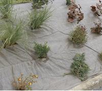 Toile de paillage Weedsol - Marron - 2,10x25m