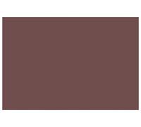 Toile de rechange pour auvent Marron 600 × 350 cm Polyester
