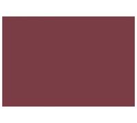 Toile de rechange pour auvent Rouge bordeaux 600 × 350 cm