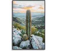 Toile décorative avec cadre Cactus 60 x 4 x 90 cm Modèle 1