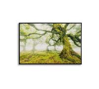 Toile décorative avec cadre Forest 90 x 4 x 60 cm