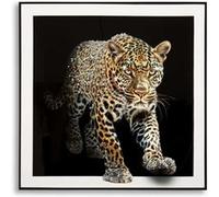 Toile décorative avec cadre Jaguar 82 x 4 x 82 cm Modèle 1