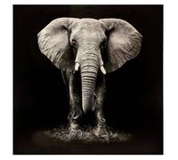 Toile imprimée éléphant 100x100cm - Atmosphera Créateur d'intérieur