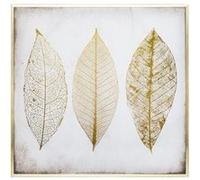 Atmosphera Toile encadrée Plume 58 x 58 cm cadre 2,6 cm