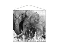 Toile murale imprimée éléphant - 150 x 150 cm - Noir et blanc