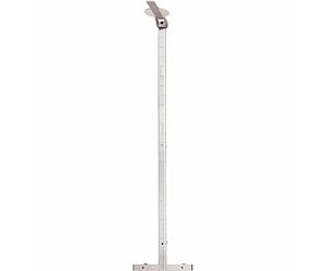 Toise adulte murale 222 SECA