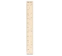 Toise Pour Tout-petits, Règle De Croissance Pour Enfant, Toise En Bois, Construction Durable, Unités De Mesure, 120 X 15 X 0,3 Cm, Pour Enfant, Garçons, Filles