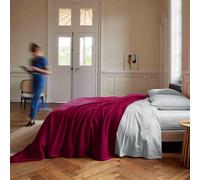 TOISON D'OR - Couverture Teddy Framboise 240 x 300 cm - Composition 100% Polyester - Confort et Douceur - Usage Intérieur - Coloris Framboise - Ne Bouloche Pas - Lavable à 40°C