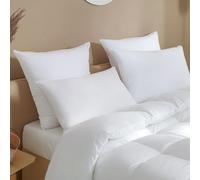 TOISON D'OR - Oreiller Microfibre Medium 60x60 - Respirant et Confortable - Garnissage 100% Polyester Fibre Creuse Siliconée - Enveloppe Microfibre - Lavable à 60°C