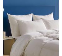 TOISON D'OR - Oreiller Percale Medium 50x70 - Garnissage Synthétique - Fibre Creuse Siliconée 100% Polyester - Enveloppe Percale 100% Coton - Confort Medium - Lavable à 40°C
