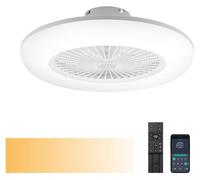 TolleTour Ventilateur de plafond avec éclairage et télécommande 80W Plafonnier Ventilateur silencieux Lampe de plafond