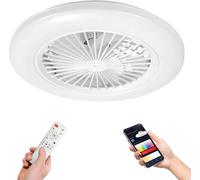 TolleTour Ventilateur de plafond LED avec éclairage et télécommande Dimmable Plafonnier Chambre à coucher Salon 49CM