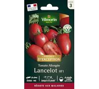 Tomate Lancelot HF1 - Graines d'Exception