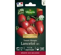 Tomate Lancelot HF1 - Graines d'Exception - Vilmorin - Potagères | Tomate Lancelot HF1 | Allongée résiste aux maladies